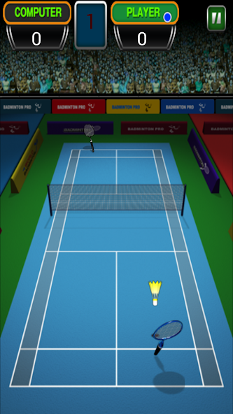 Super Badminton