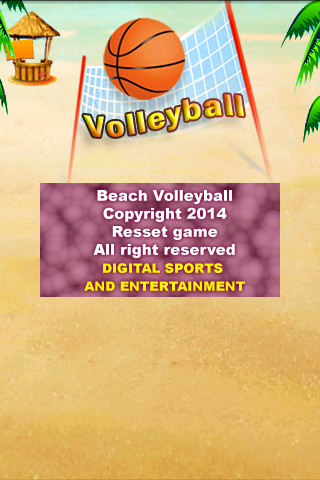 VolleyBall gameplay screenshot 5