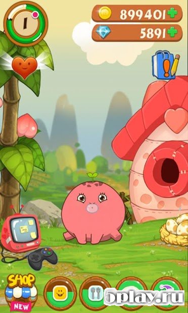 My Pet