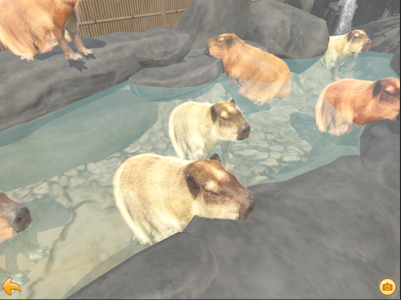 Capybara Zoo screenshot 5