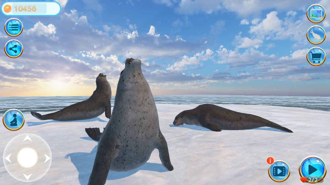 Seal Island screenshot 1