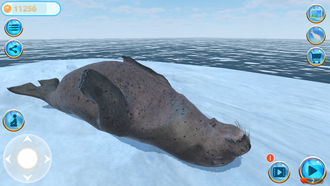 Seal Island screenshot 5