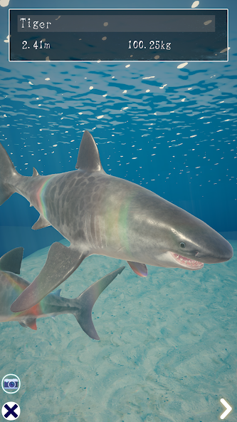 Shark Ocean screenshot 3