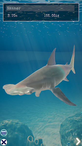 Shark Ocean screenshot 4