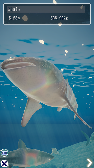 Shark Ocean screenshot 5