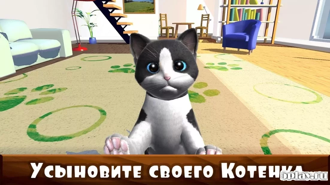 Daily Kitten : virtual cat