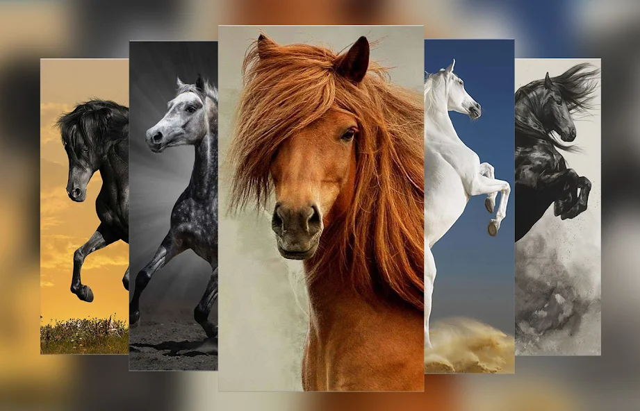 Horse Wallpapers and Backgrounds screenshot 1