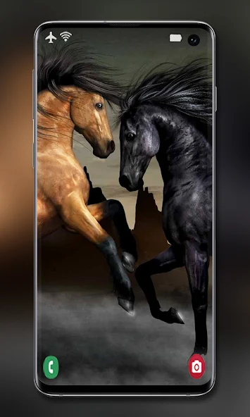 Horse Wallpapers and Backgrounds screenshot 2