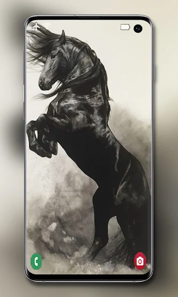 Horse Wallpapers and Backgrounds screenshot 4