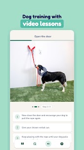 Hundeo - Puppy & Dog Training screenshot 3