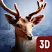 Wild Hunter screenshot 1