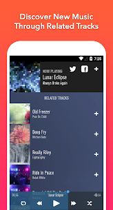 SongFlip Music Streamer Player screenshot 2