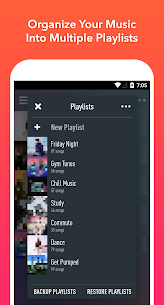 SongFlip Music Streamer Player screenshot 4