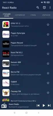 React Radio screenshot 2