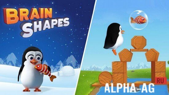 Brain Shapes