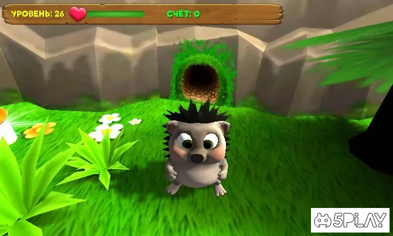 Hedgehog Goes Home