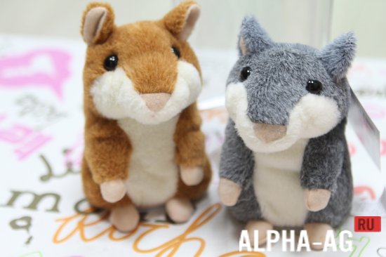 Talking Hamster