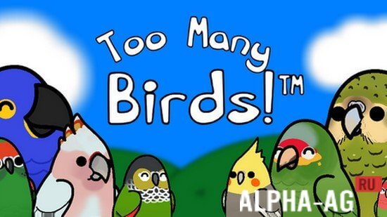 Too Many Birds!