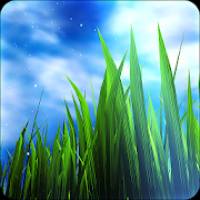 3D GRASS Live Wallpaper 1.2.1