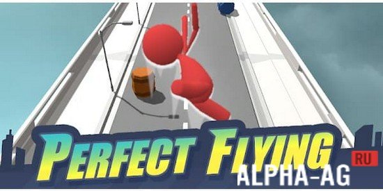 Perfect Flying