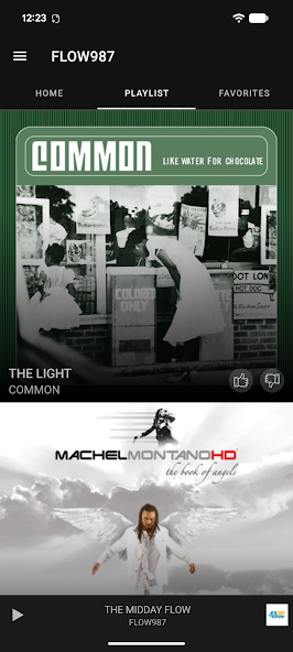 FLOW987 screenshot 4