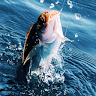 Real Fishing Pro 3D screenshot 1