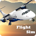 Flight Sim screenshot 1