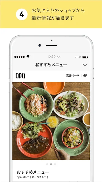 opa screenshot 4