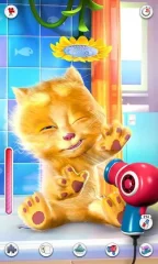 Talking Ginger screenshot 3