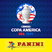 Copa America Panini Collection screenshot 1