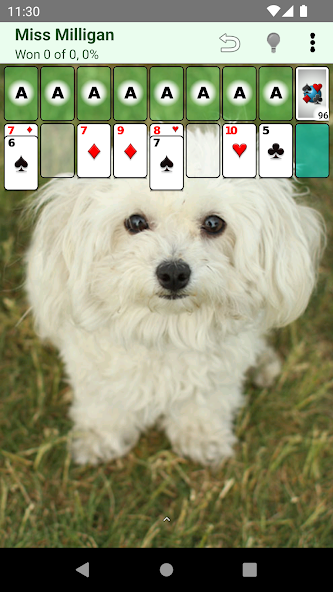 Patience Revisited screenshot 3