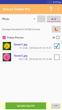 Secure Delete Pro 3.0.32 screenshot 2