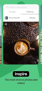 Pexels screenshot 2