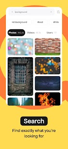 Pexels image preview 3