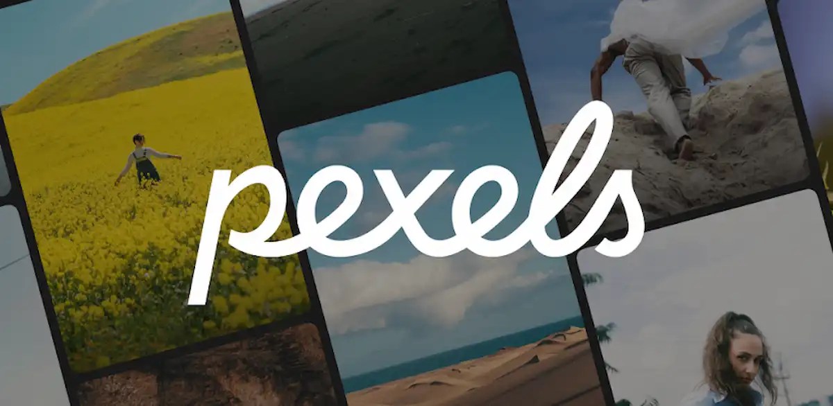 Pexels screenshot 6