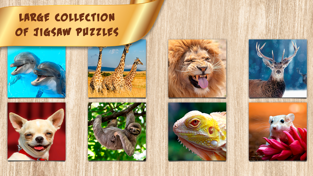 Animals Jigsaw Puzzles Game