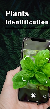 Plant ID - Plant Identification - PictureThis Mod screenshot 1
