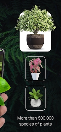 Plant ID - Plant Identification - PictureThis Mod screenshot 2