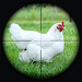 Chicken Shoot Sniper Hunting screenshot 1
