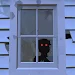 Haunted Mansion Escape screenshot 1