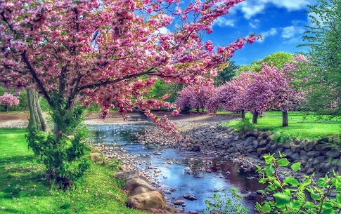 Smart HDR preview 1