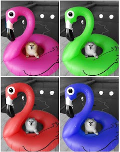 Partial Color Master screenshot 2