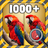 Find The Differences Spot It screenshot 1