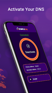 Purple DNS Screenshot 2