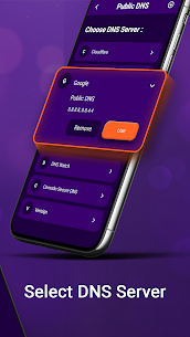 Purple DNS Screenshot 3