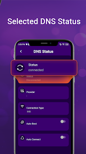 Purple DNS Screenshot 4