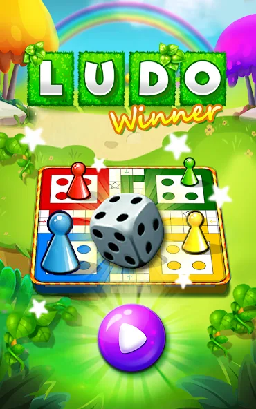 Ludo Winner game interface
