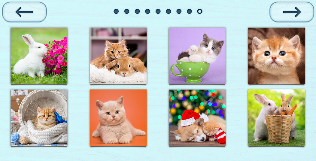 Puzzles without Internet screenshot 2