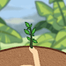Get Rich by Planting Trees screenshot 1