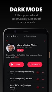 Quran Pro: Ramadan 2026 Ready – screenshot 5